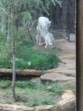 那須どうぶつ王国に投稿された画像（2024/9/24）