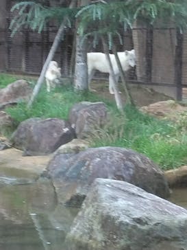 那須どうぶつ王国に投稿された画像（2024/9/24）