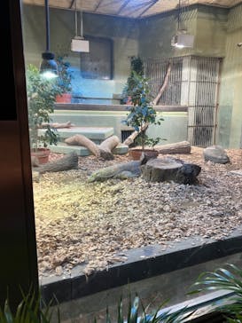 名古屋市東山動植物園に投稿された画像（2024/9/24）