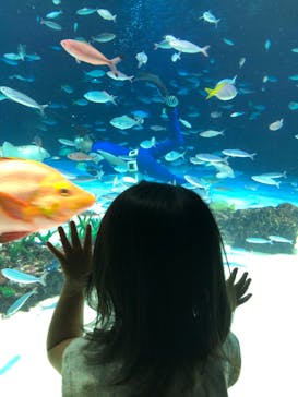 サンシャイン水族館に投稿された画像（2024/9/24）