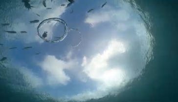 ZeroGravity（ゼログラヴィティ）に投稿された画像（2024/9/24）