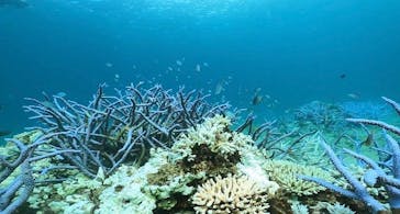 ZeroGravity（ゼログラヴィティ）に投稿された画像（2024/9/24）