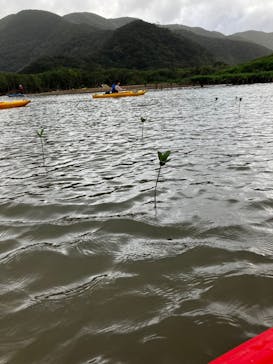 マングローブ茶屋に投稿された画像（2024/9/24）