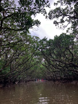マングローブ茶屋に投稿された画像（2024/9/24）