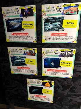 マリンワールド海の中道に投稿された画像（2024/9/24）