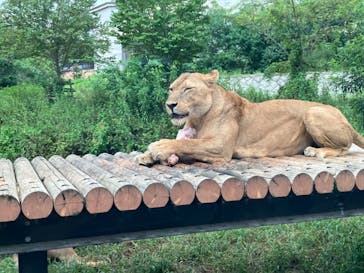 多摩動物公園に投稿された画像（2024/9/24）