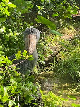 神戸どうぶつ王国に投稿された画像（2024/9/24）