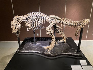 海洋堂ホビーランドに投稿された画像（2024/9/24）