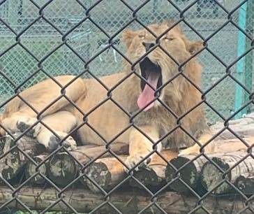 岩手サファリパークに投稿された画像（2024/9/24）