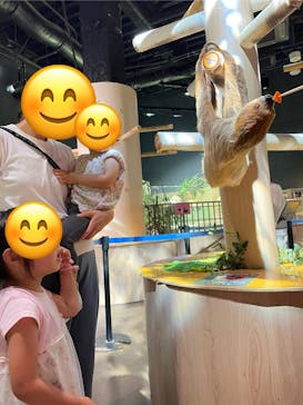 DMMかりゆし水族館に投稿された画像（2024/9/24）