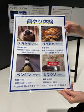 DMMかりゆし水族館に投稿された画像（2024/9/24）