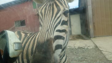 東北サファリパークに投稿された画像（2024/9/24）