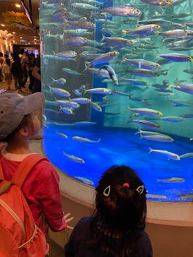 しながわ水族館に投稿された画像（2024/9/24）