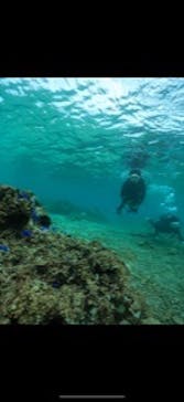 武藤潜水に投稿された画像（2024/9/24）