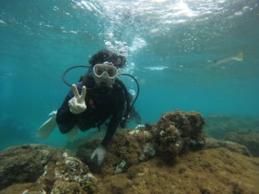 武藤潜水に投稿された画像（2024/9/24）