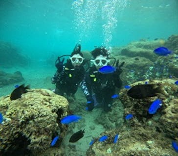 沖縄マリンサービス碧に投稿された画像（2024/9/24）