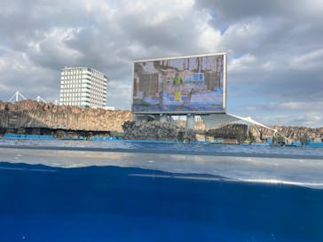 名古屋港水族館に投稿された画像（2024/9/24）