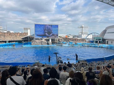 名古屋港水族館に投稿された画像（2024/9/24）