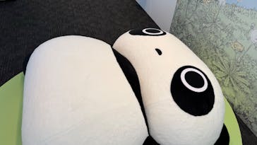 サンエックス90周年　うちのコたちの大展覧会　@ホテル日航新潟 31階　Befcoばかうけ展望室に投稿された画像（2024/9/24）