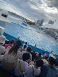 鴨川シーワールドに投稿された画像（2024/9/24）