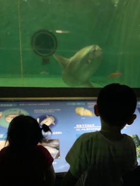 鴨川シーワールドに投稿された画像（2024/9/24）