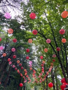 ムーミンバレーパークに投稿された画像（2024/9/24）