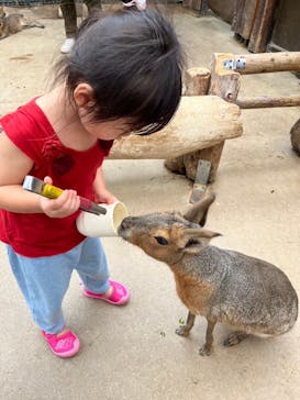 神戸どうぶつ王国に投稿された画像（2024/9/24）