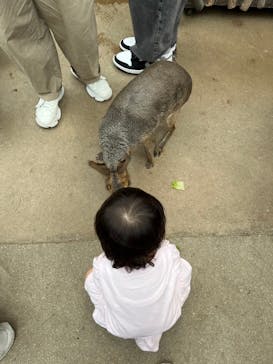 神戸どうぶつ王国に投稿された画像（2024/9/24）