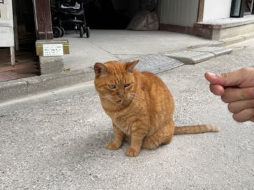 宇都宮動物園に投稿された画像（2024/9/24）
