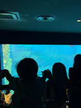 仙台うみの杜水族館に投稿された画像（2024/9/24）