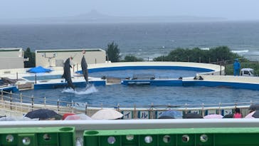 沖縄美ら海水族館に投稿された画像（2024/9/24）