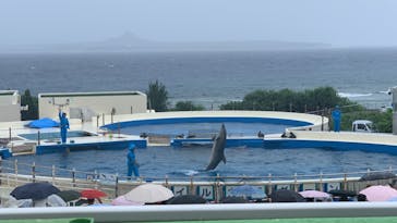 沖縄美ら海水族館に投稿された画像（2024/9/24）