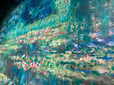 モネ＆フレンズ・アライブに投稿された画像（2024/9/24）