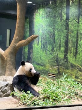 恩賜上野動物園に投稿された画像（2024/9/24）