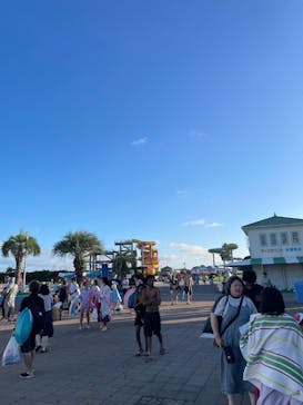 蓮沼ウォーターガーデンに投稿された画像（2024/9/24）