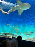 アクアワールド茨城県大洗水族館に投稿された画像（2024/9/24）