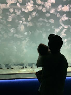 アクアワールド茨城県大洗水族館に投稿された画像（2024/9/24）