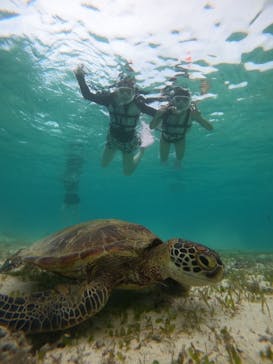 nico 宮古島に投稿された画像（2024/9/24）