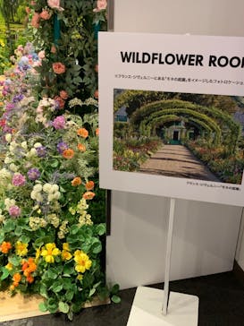 モネ＆フレンズ・アライブに投稿された画像（2024/9/24）