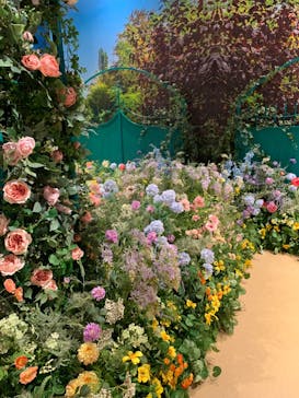 モネ＆フレンズ・アライブに投稿された画像（2024/9/24）