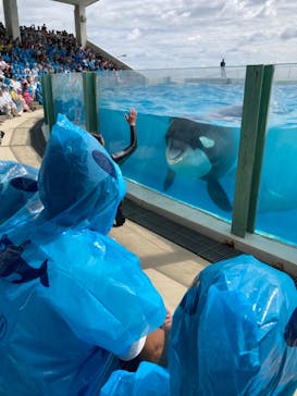 鴨川シーワールドに投稿された画像（2024/9/24）