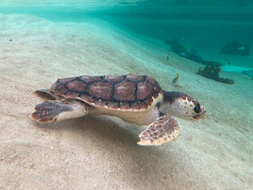 鴨川シーワールドに投稿された画像（2024/9/24）