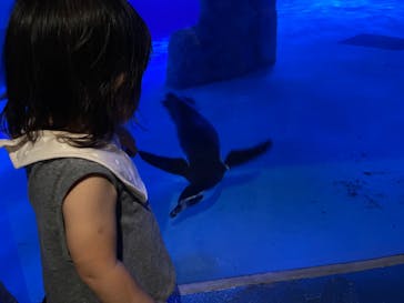 静岡市立日本平動物園に投稿された画像（2024/9/24）