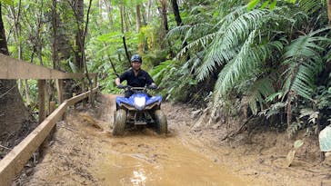 ヤンバルンチャーに投稿された画像（2024/9/24）