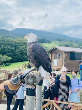 那須どうぶつ王国に投稿された画像（2024/9/24）