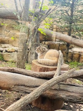 那須どうぶつ王国に投稿された画像（2024/9/24）