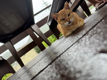 Acoustic Life（アコースティックライフ）に投稿された画像（2024/9/24）