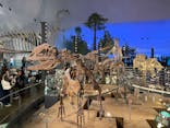 福井県立恐竜博物館に投稿された画像（2024/9/24）