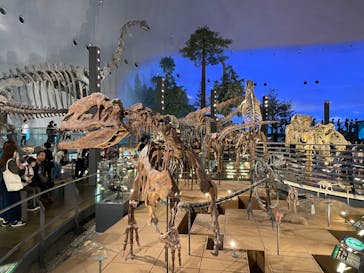 福井県立恐竜博物館に投稿された画像（2024/9/24）