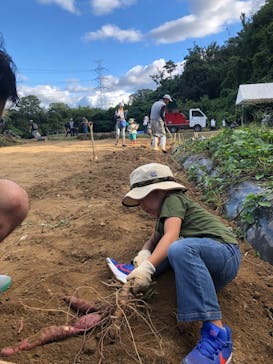 農業公園信貴山のどか村に投稿された画像（2024/9/24）